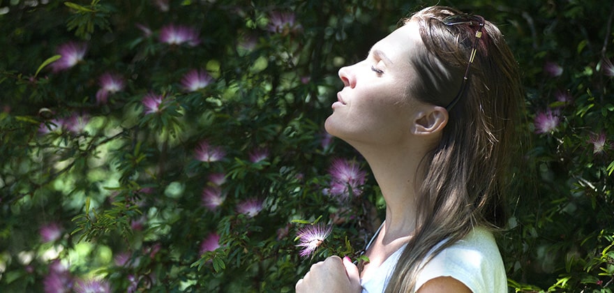 best air purifier in india swag swami article featured image