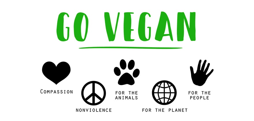 vegan brands for cruelty free products in india